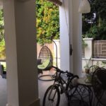 Holland Grove View